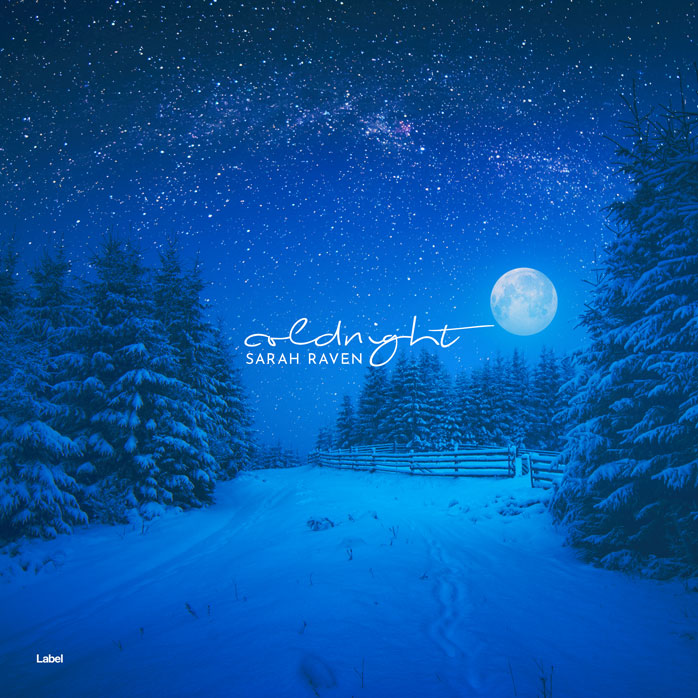 2D view of Premade Pop Album Cover - Endeavour #7361 | AlbumArtZone*