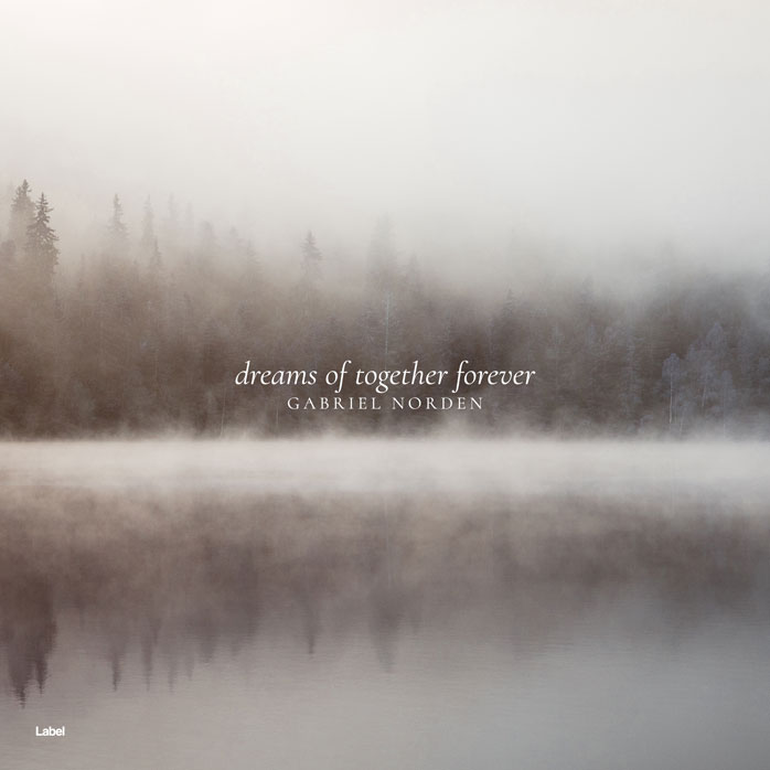 2D view of Premade Country & Acoustic Album Cover - Zorba #7483 | AlbumArtZone*