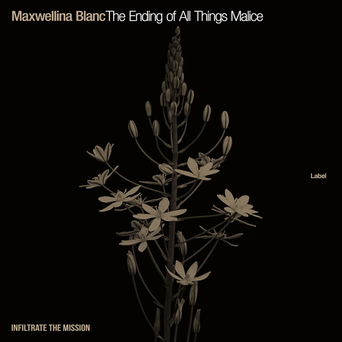 2D view of Premade Pop Album Cover - Black #7544 | AlbumArtZone*