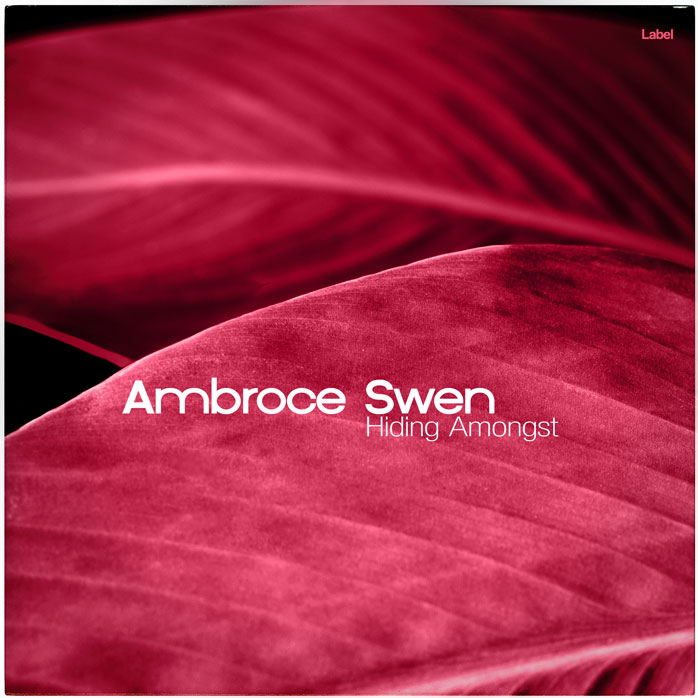 2D view of Premade Pop Album Cover - Brick Red #7571 | AlbumArtZone*