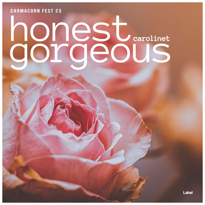2D view of Premade Electronica & Ambient Album Cover - Turkish Rose #7713 | AlbumArtZone*