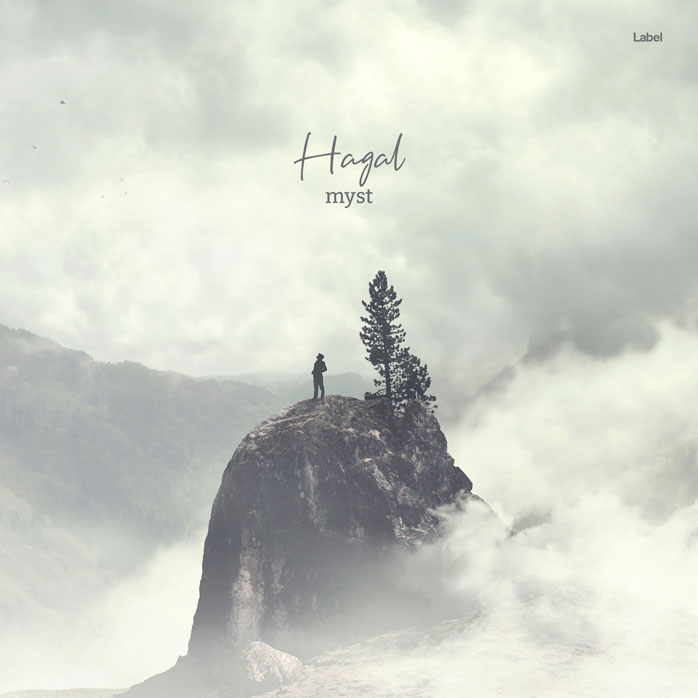2D view of Premade Indie & Folk Music Album Cover - Moon Mist #7937 | AlbumArtZone*