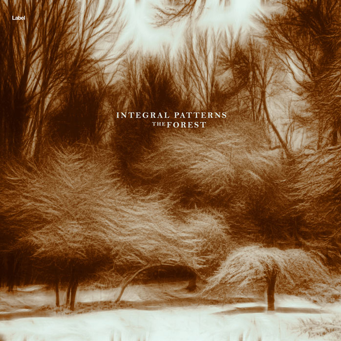 2D view of Premade Indie & Folk Music Album Cover - Walnut #7943 | AlbumArtZone*