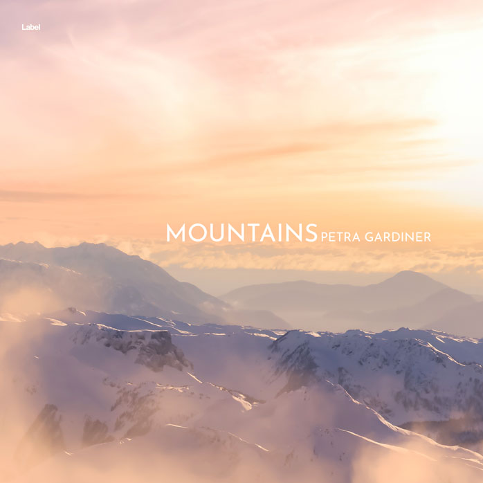 2D view of Premade Electronica & Ambient Album Cover - Pancho #8118 | AlbumArtZone*