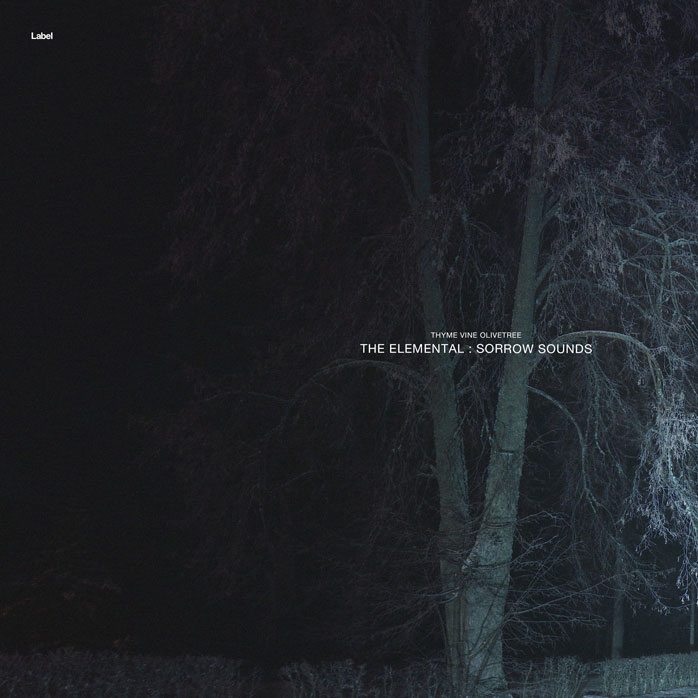 2D view of Premade Country & Acoustic Album Cover - Shark #8343 | AlbumArtZone*