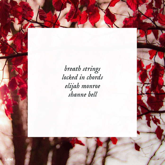 2D view of Premade Indie & Folk Music Album Cover - Paco #8423 | AlbumArtZone*