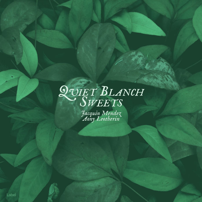 2D view of Premade Pop Album Cover - Plantation #8452 | AlbumArtZone*