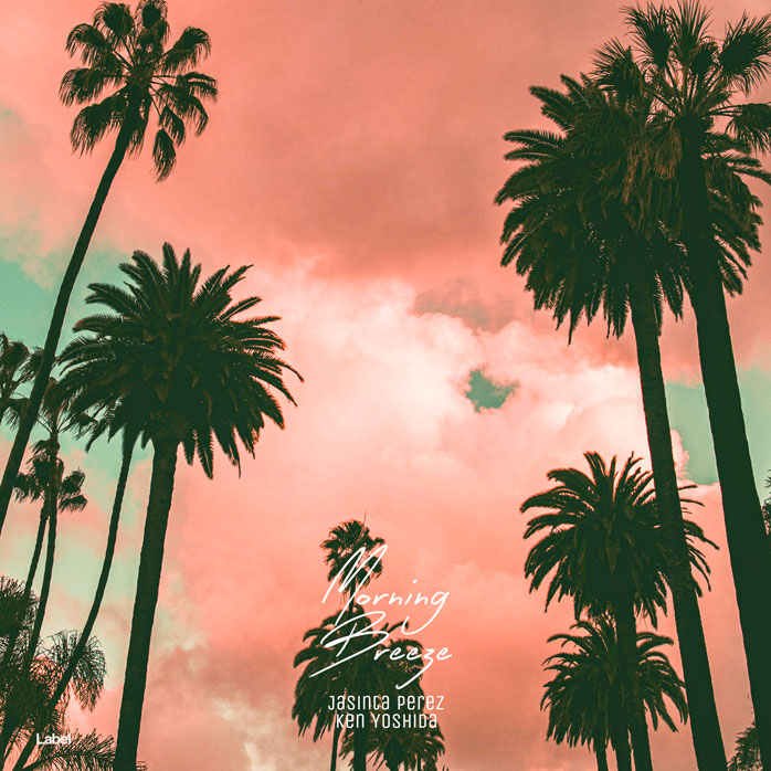 2D view of Premade Rock,Punk & Alternative Album Cover - Tonys Pink #8482 | AlbumArtZone*