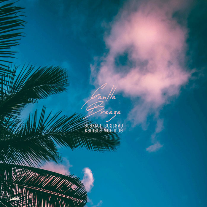 2D view of Premade Dance & House Album Cover - Chathams Blue #8486 | AlbumArtZone*