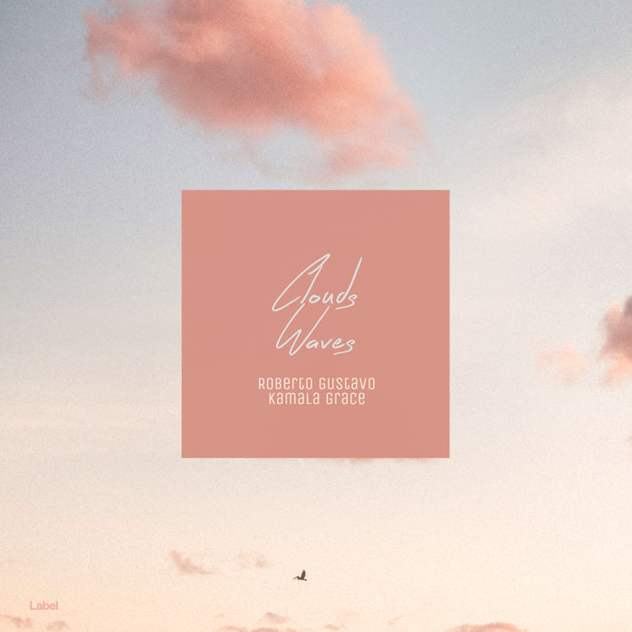 2D view of Premade Pop Album Cover - Pearl Bush #8490 | AlbumArtZone*