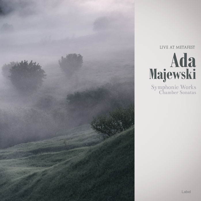 2D view of Premade Contemporary Music Album Cover - Pale Slate #8562 | AlbumArtZone*