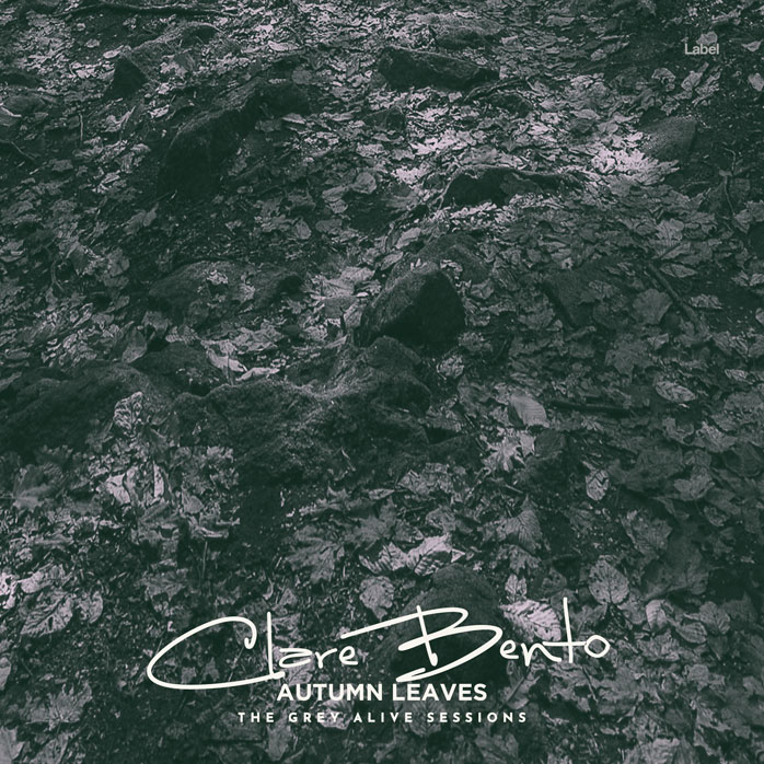 2D view of Premade Funk & Fusion Album Cover - Outer Space #8632 | AlbumArtZone*