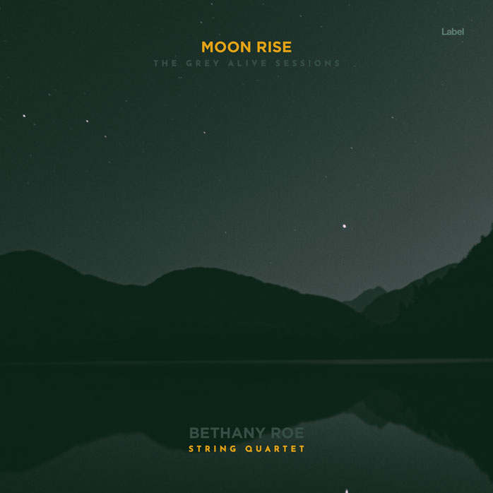 2D view of Premade Pop Album Cover - Timber Green #8637 | AlbumArtZone*