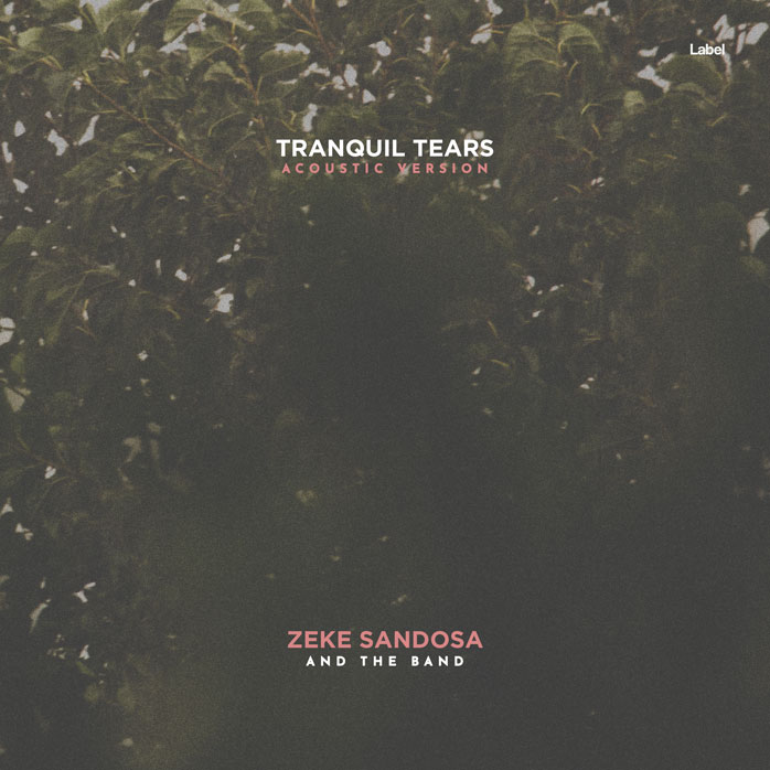 2D view of Premade Pop Album Cover - Fuscous Gray #8676 | AlbumArtZone*