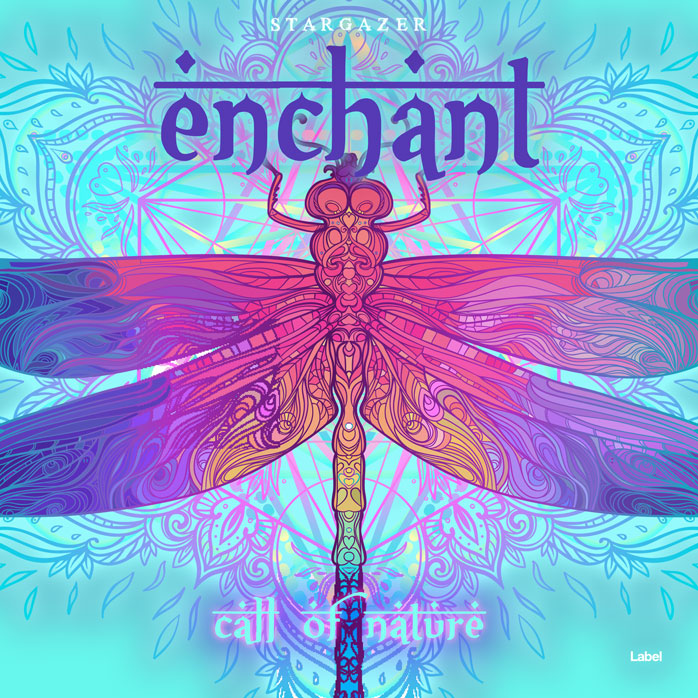 2D view of Premade Contemporary Music Album Cover - Seagull #8706 | AlbumArtZone*