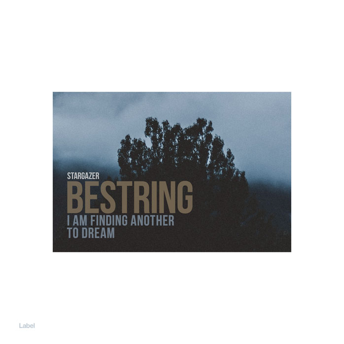 2D view of Premade Indie & Folk Music Album Cover - Shark #8739 | AlbumArtZone*