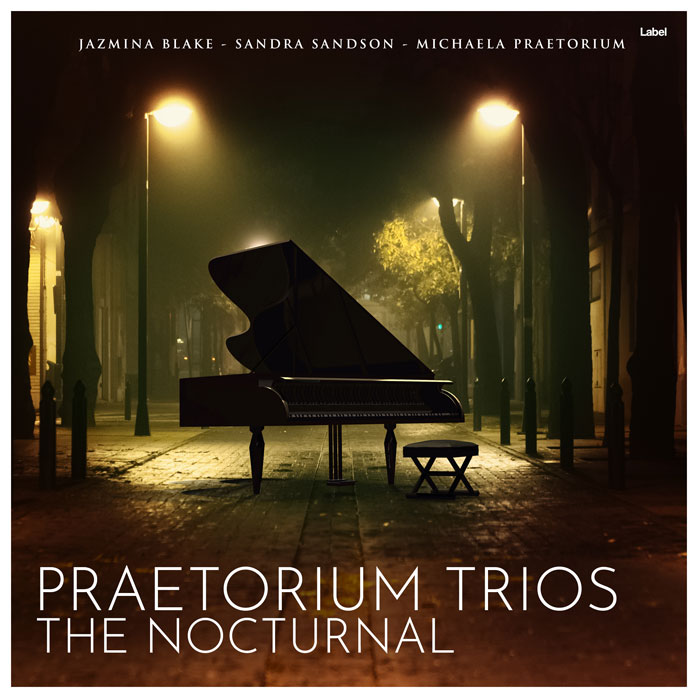 2D view of Premade Traditional Jazz & Blues Album Cover - Karaka #8839 | AlbumArtZone*