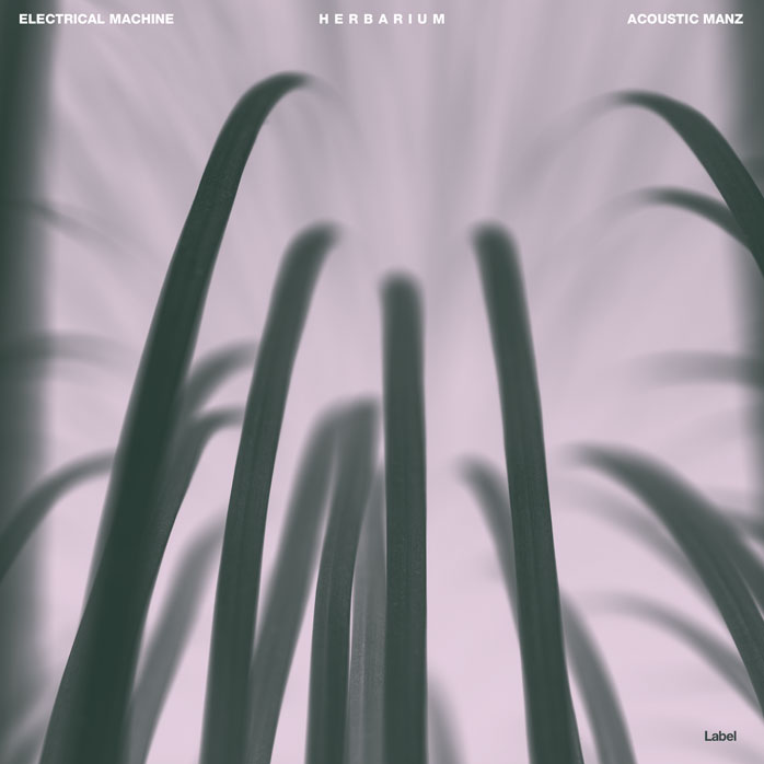 2D view of Premade Pop Album Cover - Pale Slate #8866 | AlbumArtZone*