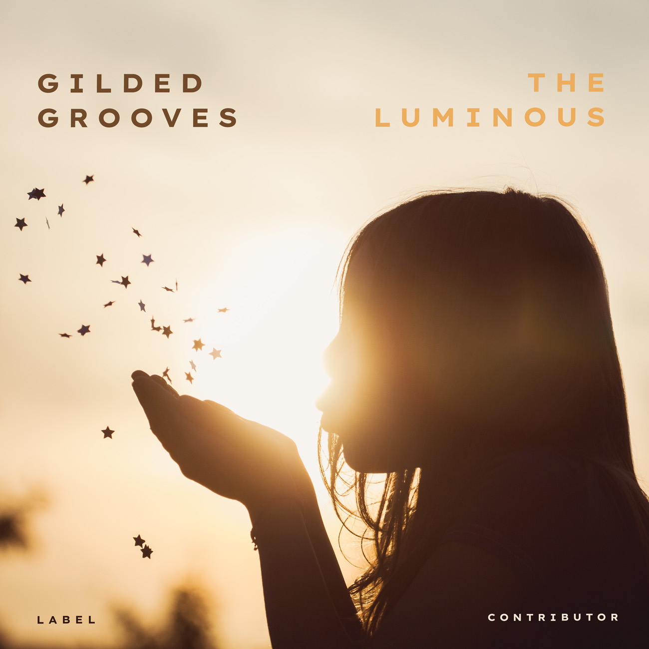 2D view of Premade Indie & Folk Music Album Cover - Almond #10646 | AlbumArtZone*