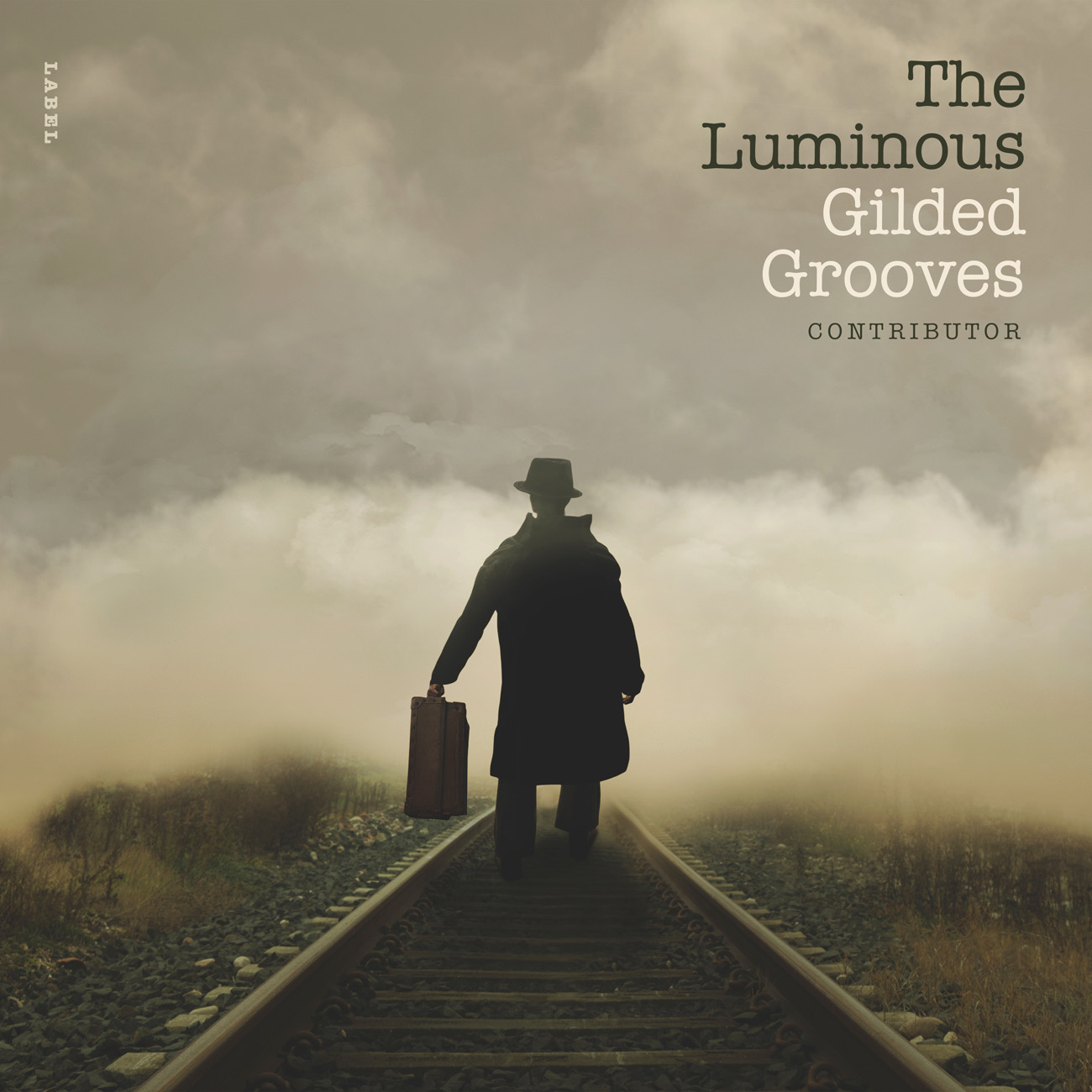 2D view of Premade Indie & Folk Music Album Cover - Hillary #10660 | AlbumArtZone*