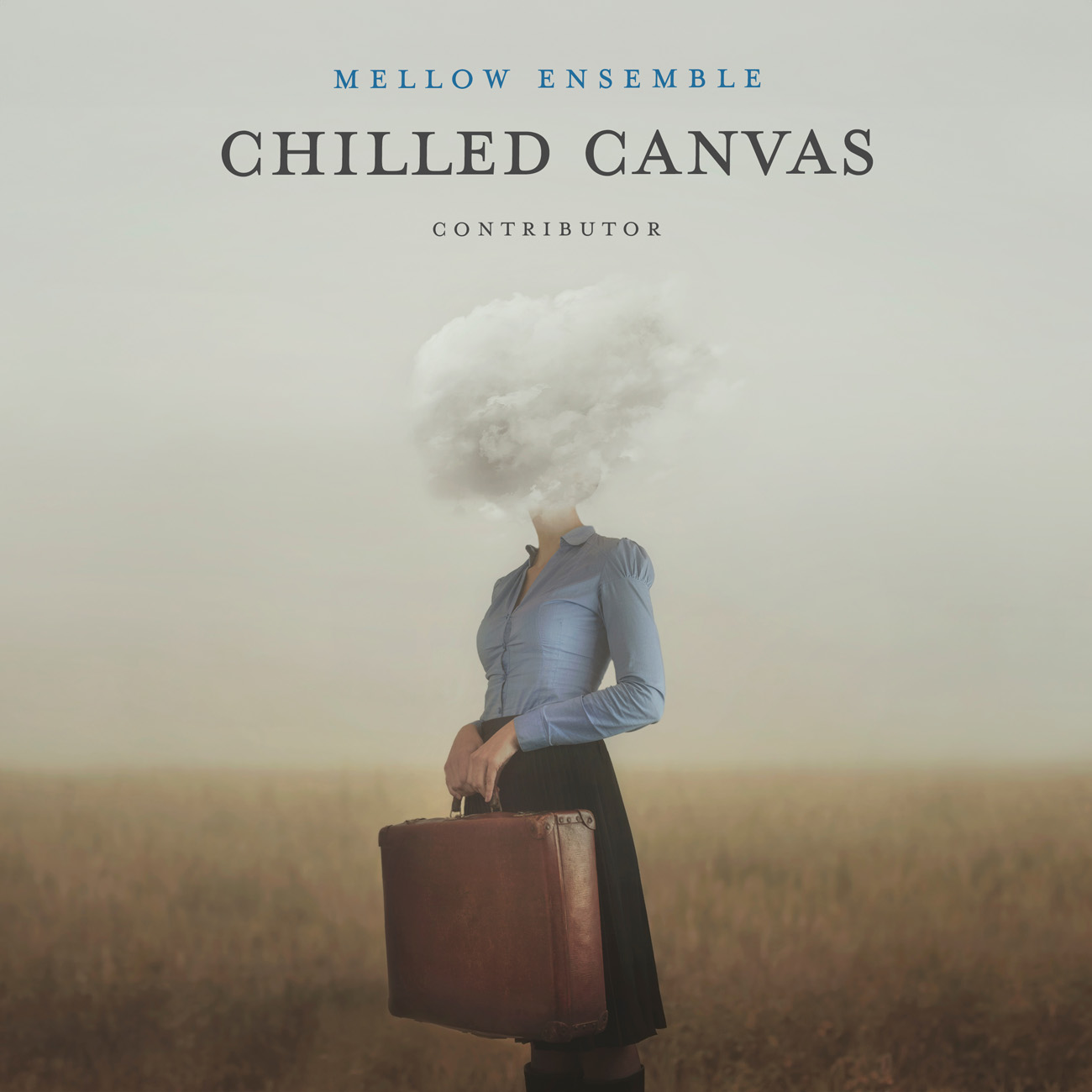 2D view of Premade Indie & Folk Music Album Cover - Ash #10668 | AlbumArtZone*