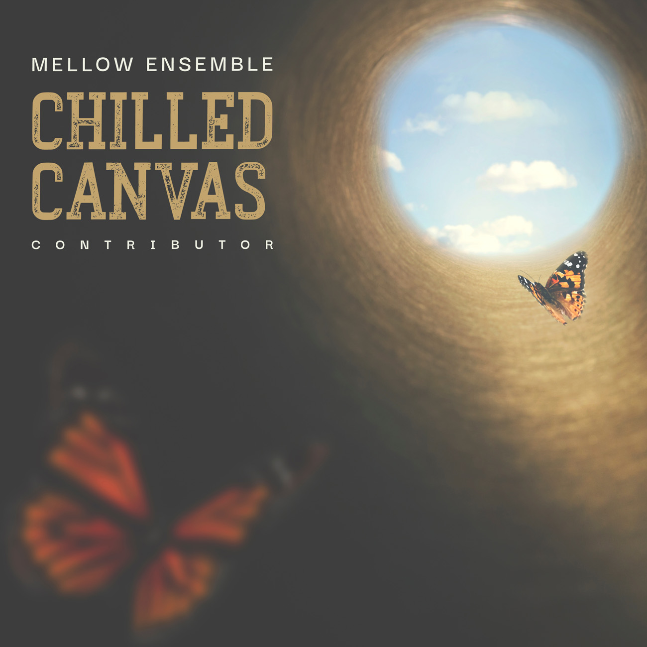 2D view of Premade Indie & Folk Music Album Cover - Armadillo #10673 | AlbumArtZone*