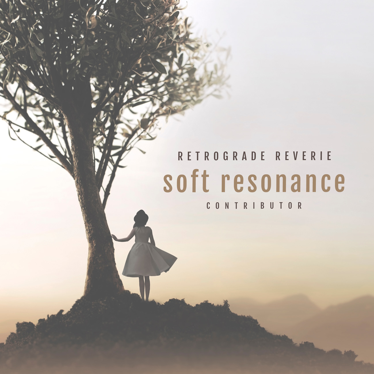 2D view of Premade Indie & Folk Music Album Cover - Chicago #10693 | AlbumArtZone*