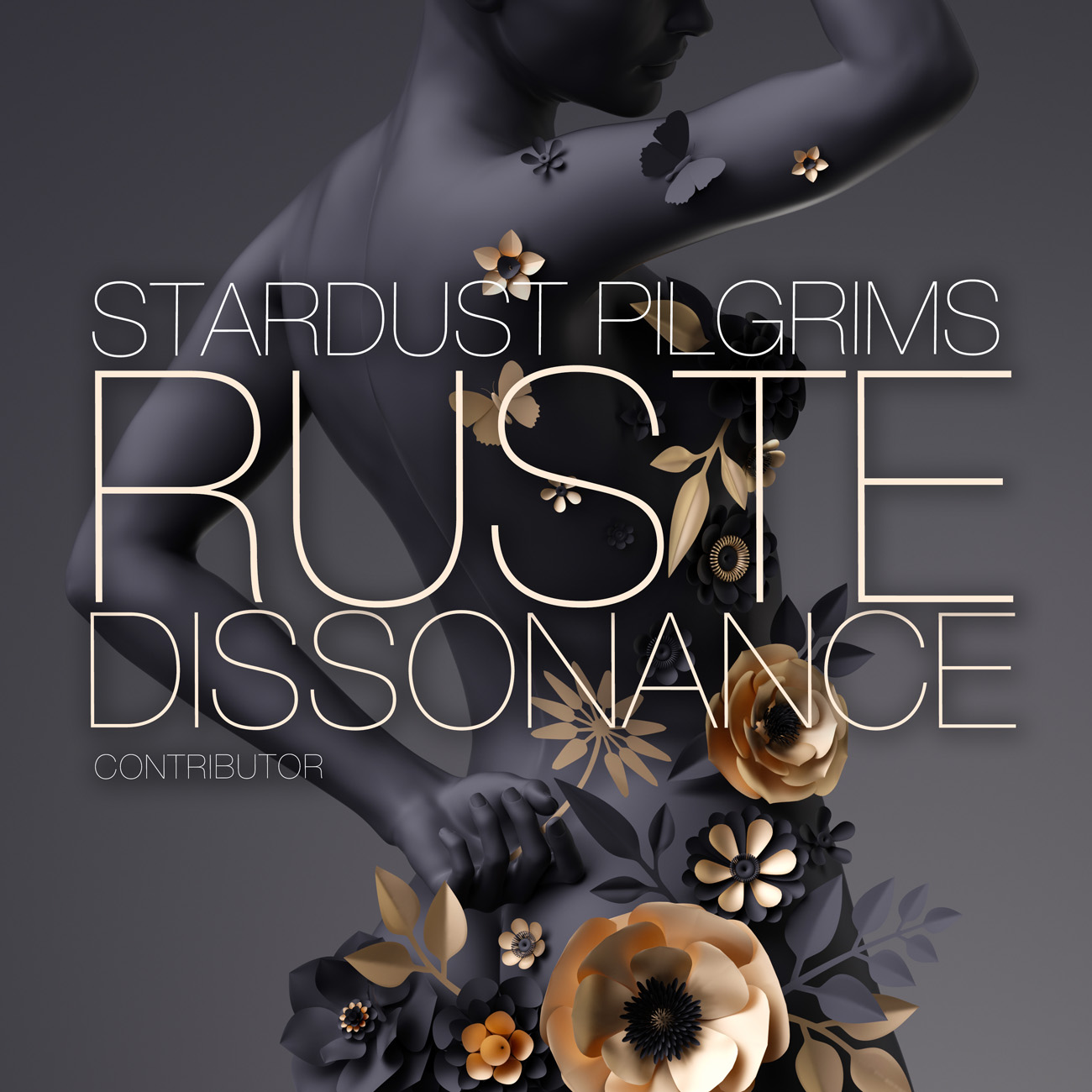 2D view of Premade Pop Album Cover - Ship Gray #10960 | AlbumArtZone*