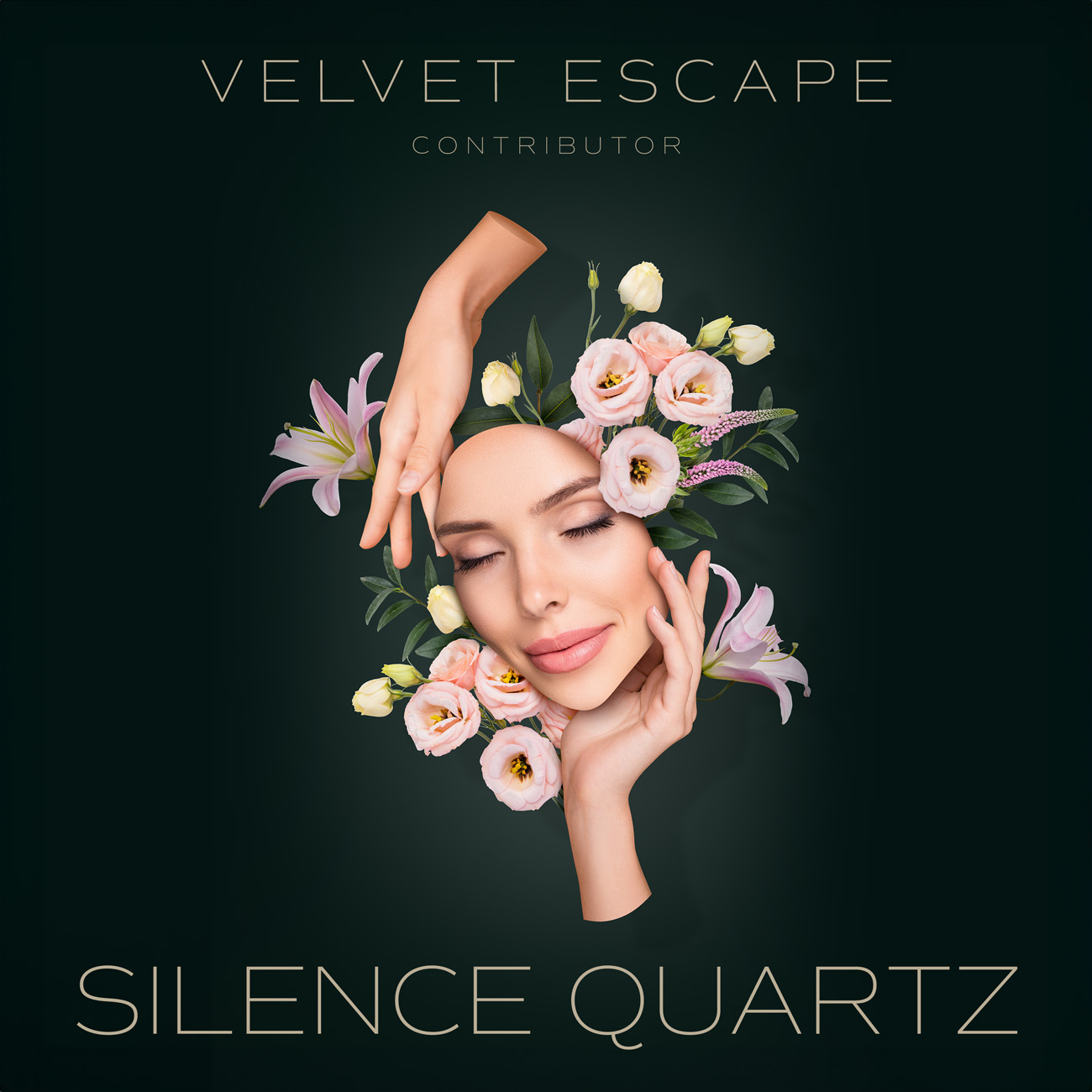 2D view of Premade Pop Album Cover - Cameo #11099 | AlbumArtZone*