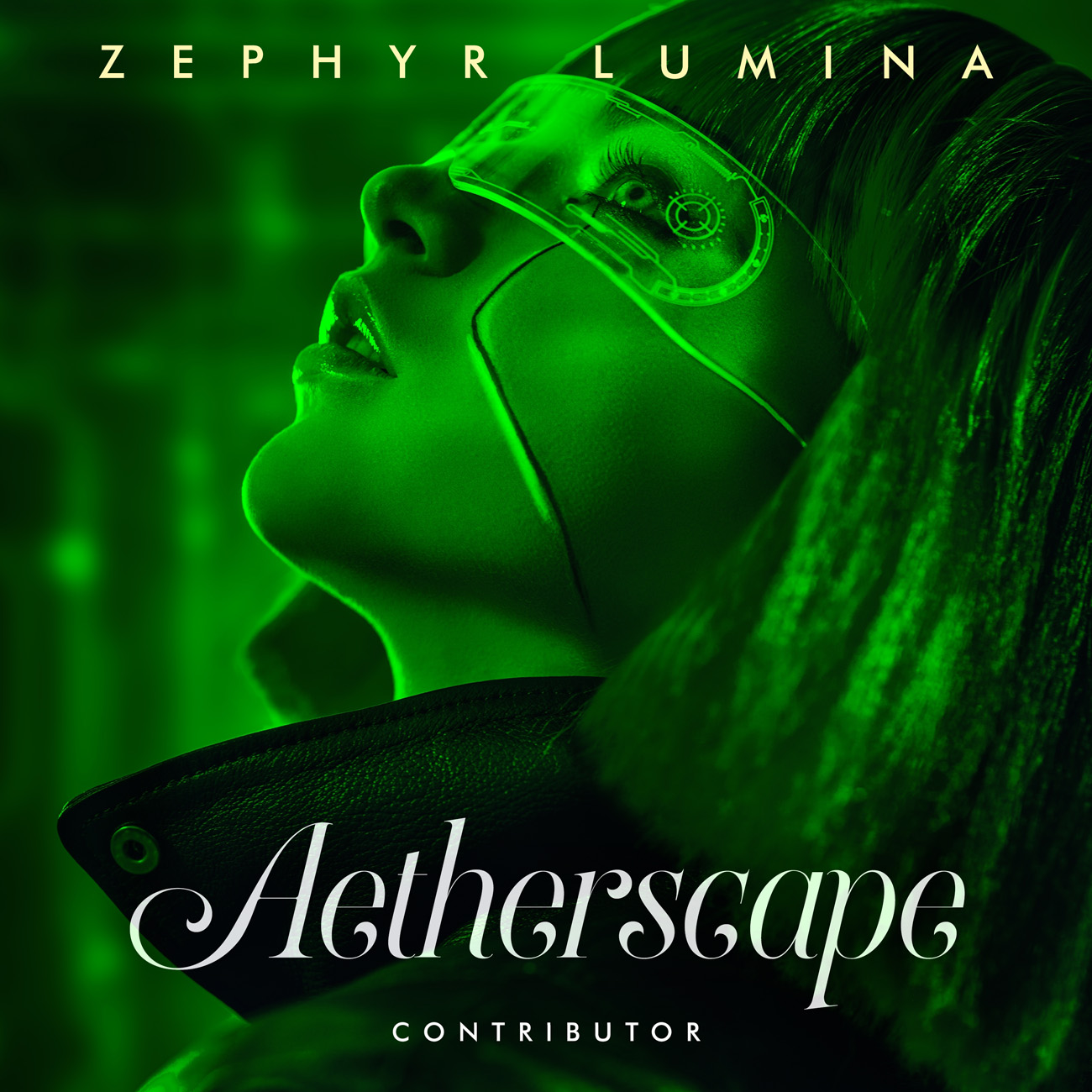 2D view of Premade Contemporary Music Album Cover - English Holly #11223 | AlbumArtZone*