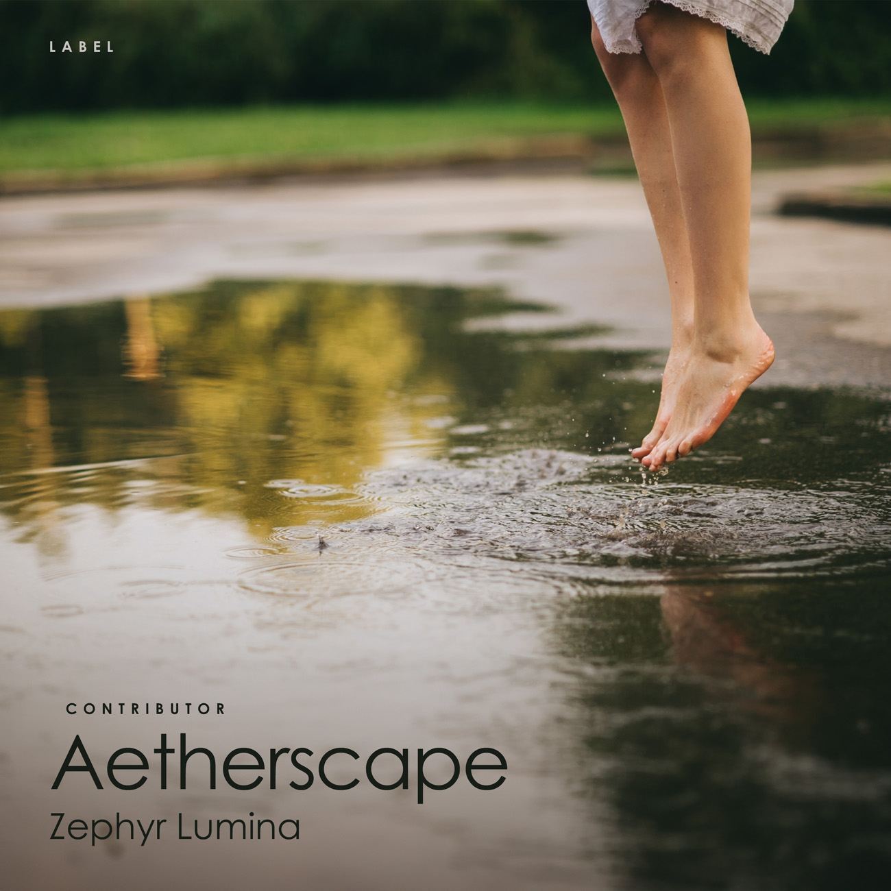 2D view of Premade Indie & Folk Music Album Cover - Napa #11254 | AlbumArtZone*
