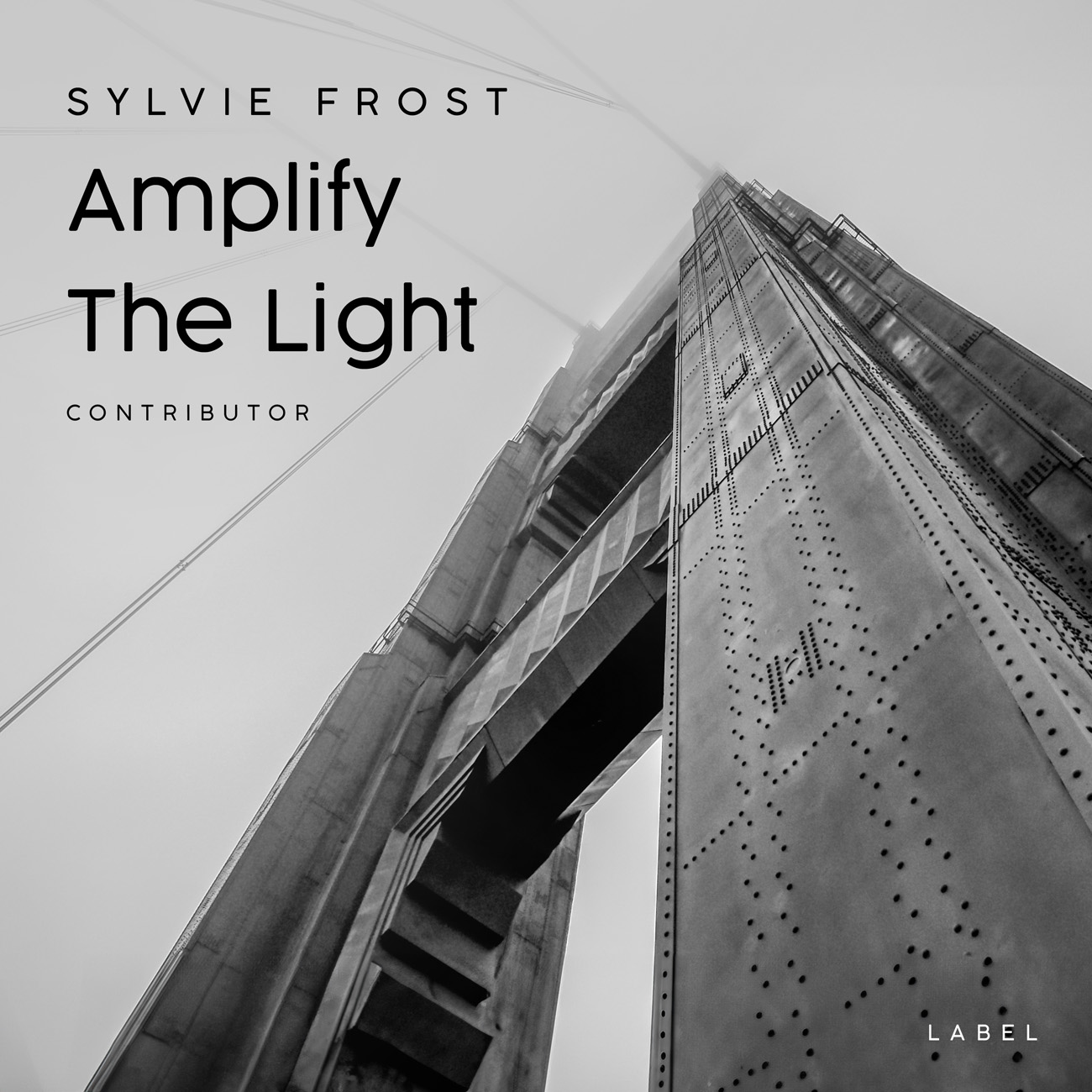 2D view of Premade Contemporary Music Album Cover - Silver #11366 | AlbumArtZone*