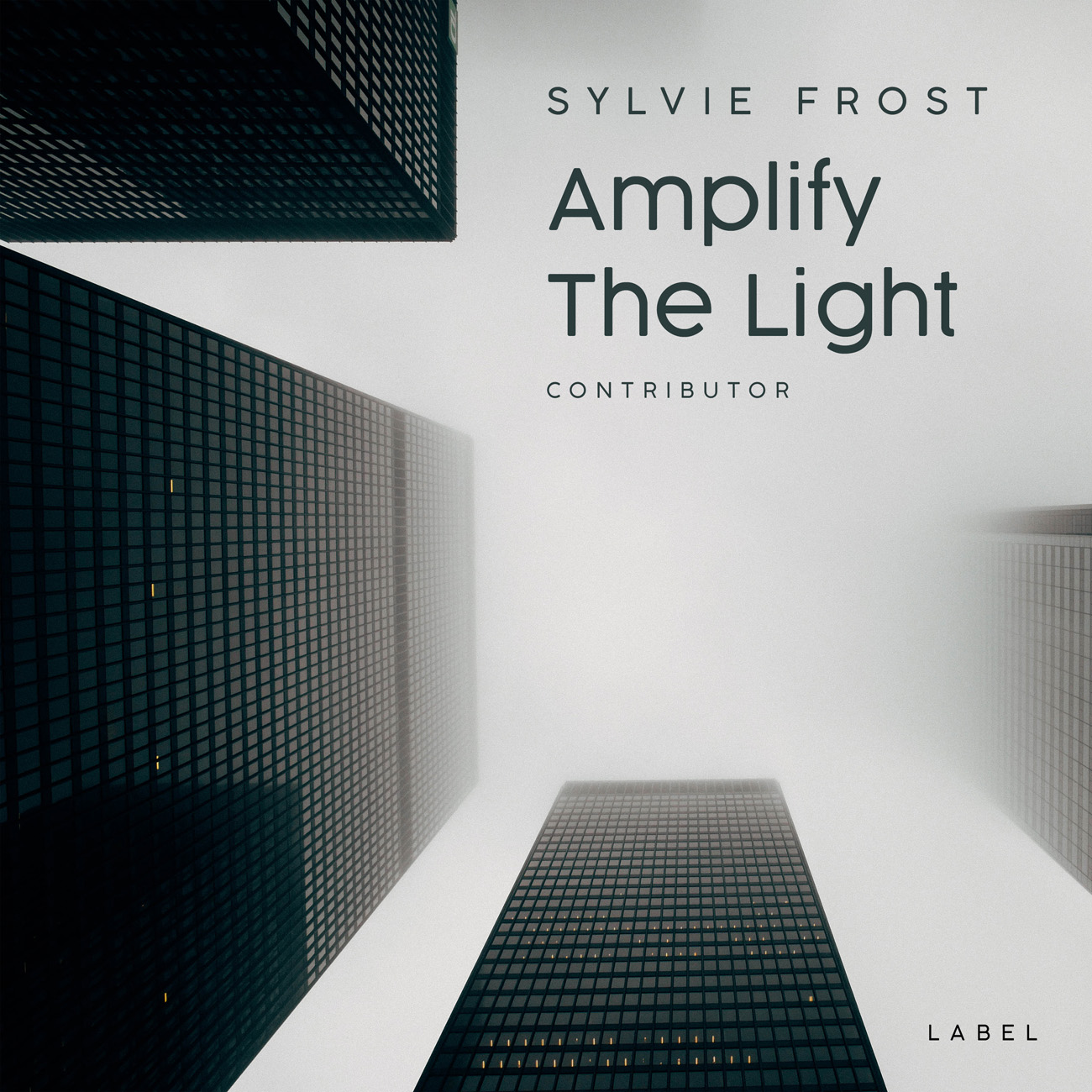 2D view of Premade Contemporary Music Album Cover - Gray Nickel #11367 | AlbumArtZone*