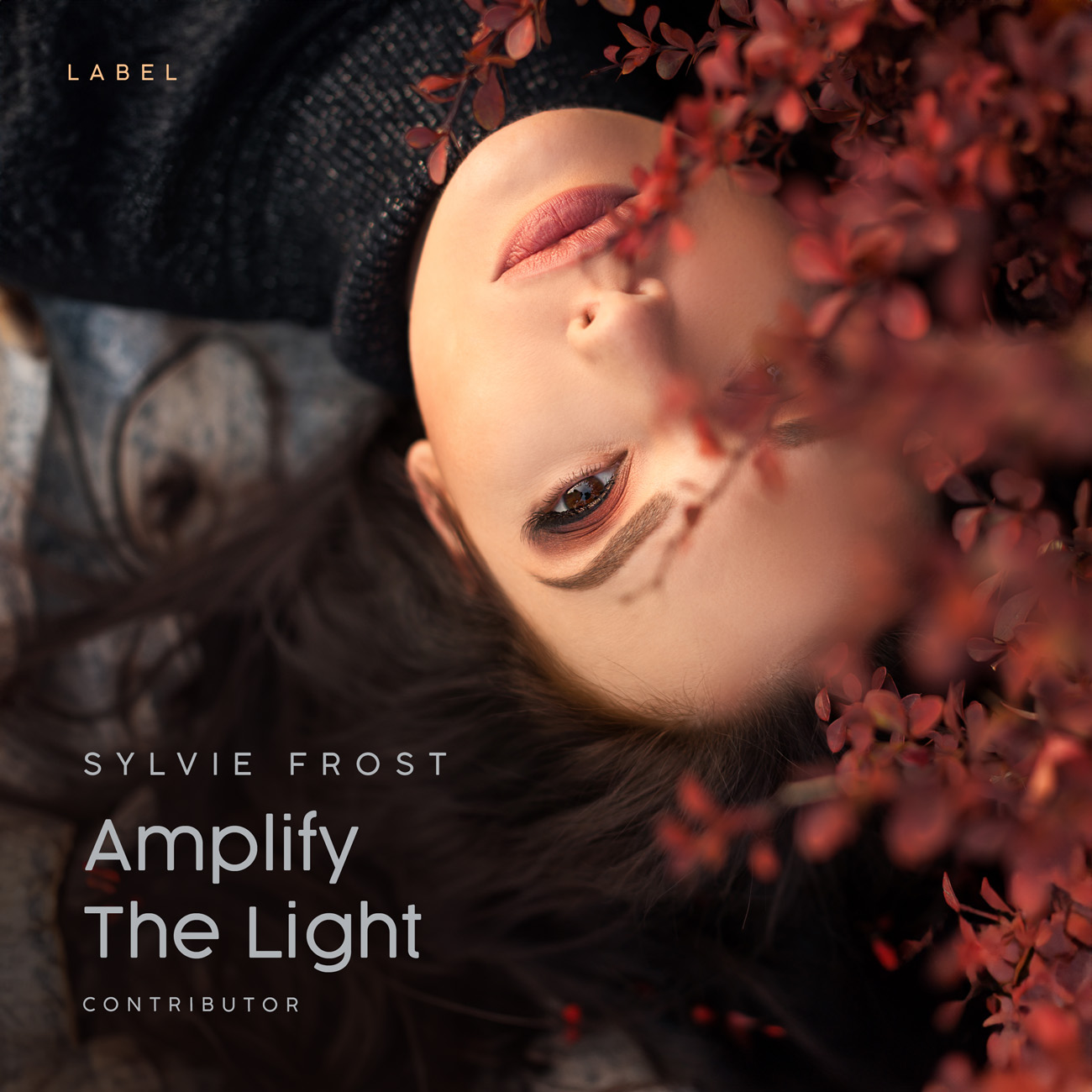 2D view of Premade Indie & Folk Music Album Cover - Cocoa Brown #11373 | AlbumArtZone*