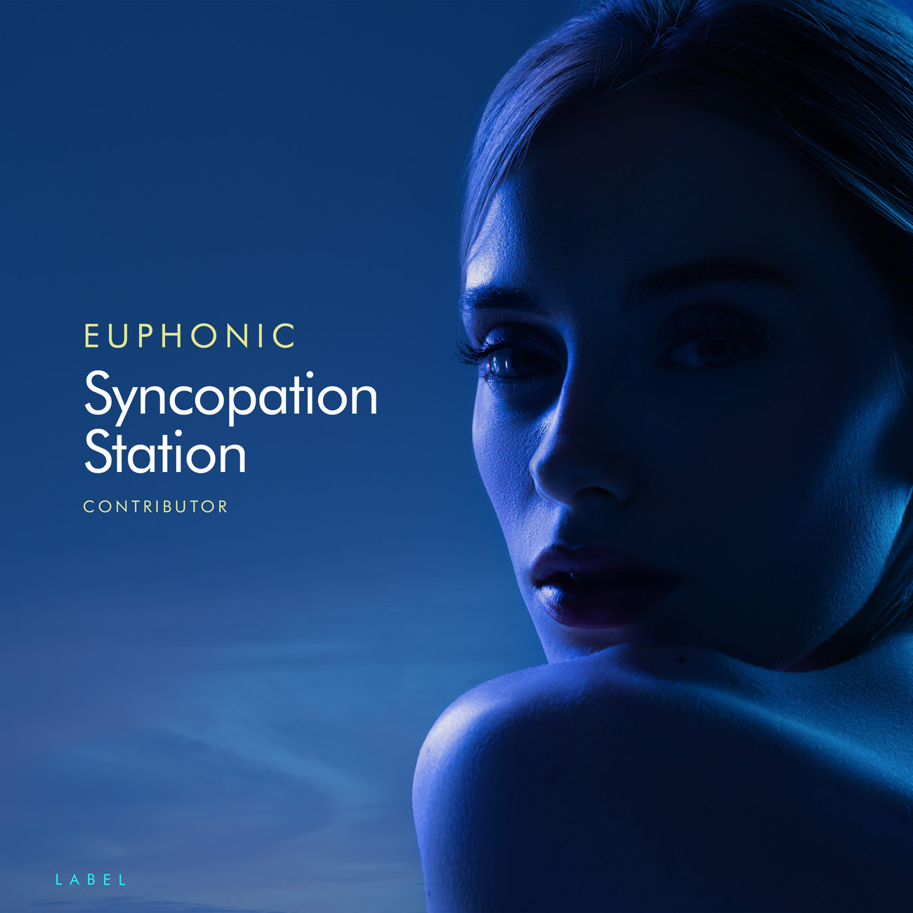 2D view of Premade Contemporary Music Album Cover - Chathams Blue #11401 | AlbumArtZone*