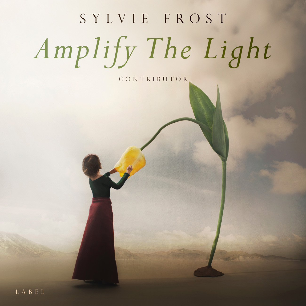 2D view of Premade Contemporary Music Album Cover - Sisal #11504 | AlbumArtZone*