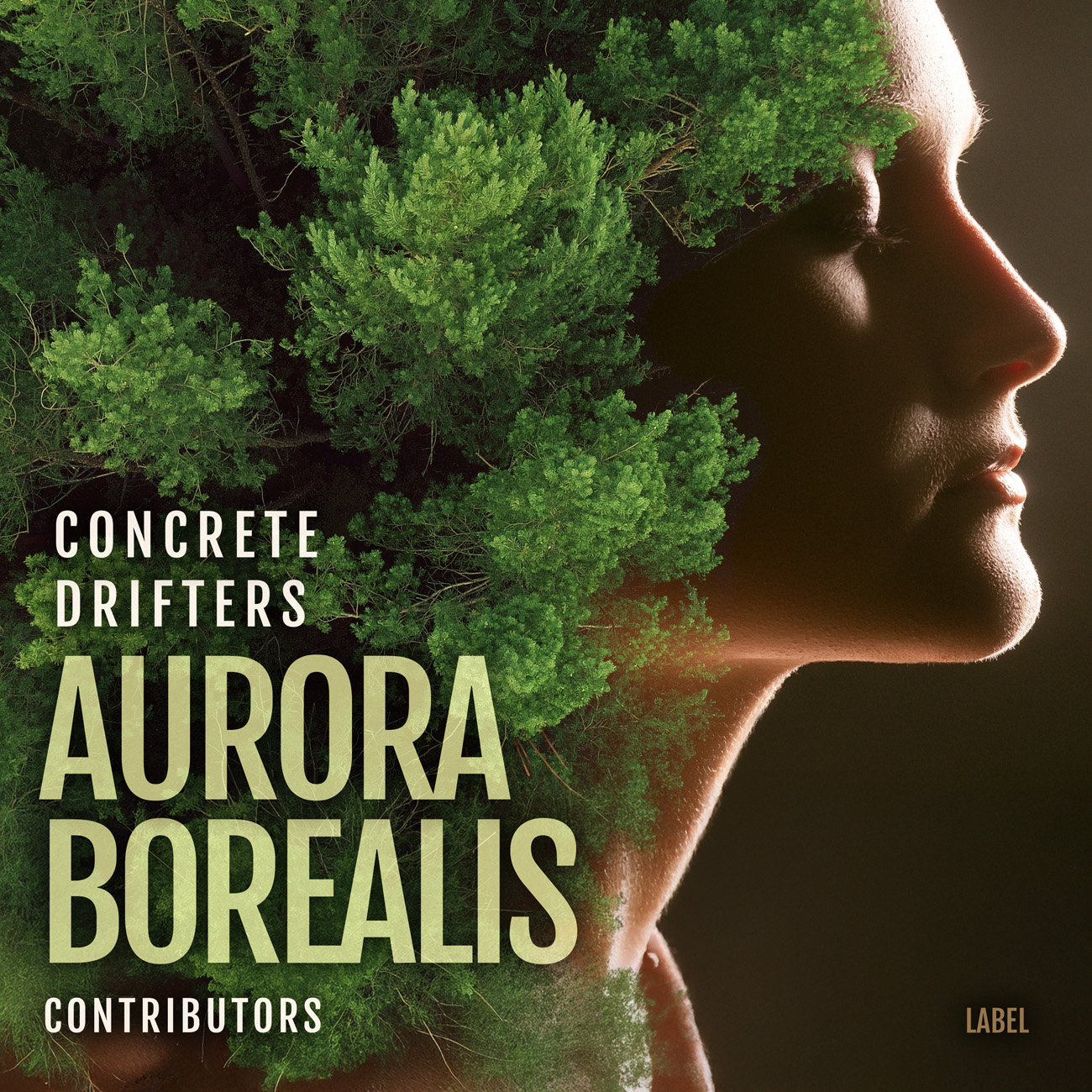 2D view of Premade Contemporary Music Album Cover - Black Olive #11558 | AlbumArtZone*