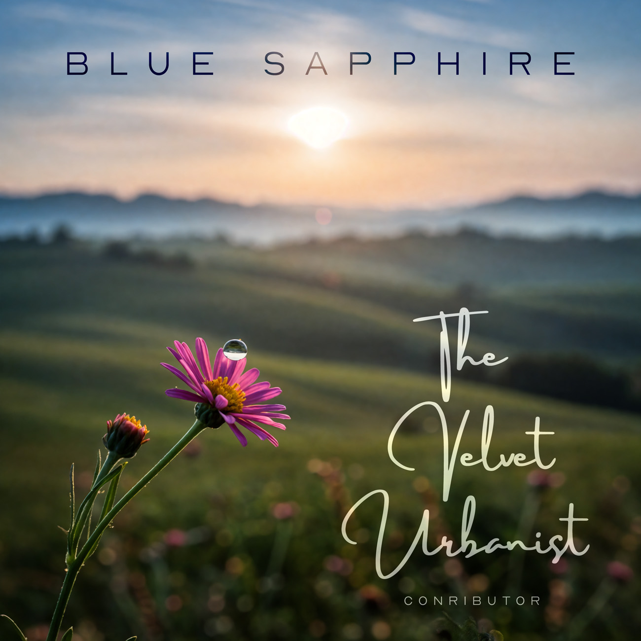 2D view of Premade Indie & Folk Music Album Cover - Rangitoto #11863 | AlbumArtZone*