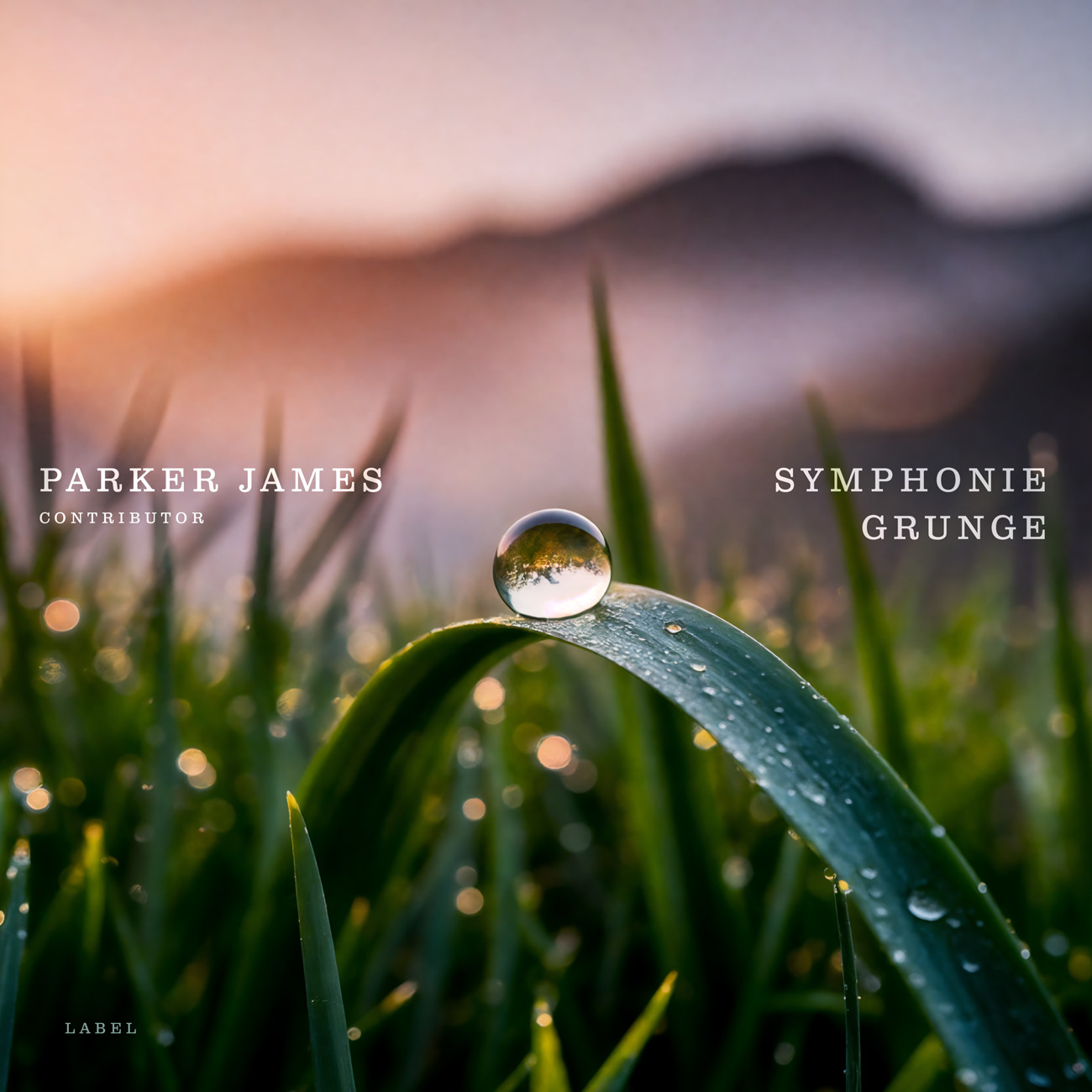 2D view of Premade Podcast Album Cover - Clam Shell #11896 | AlbumArtZone*