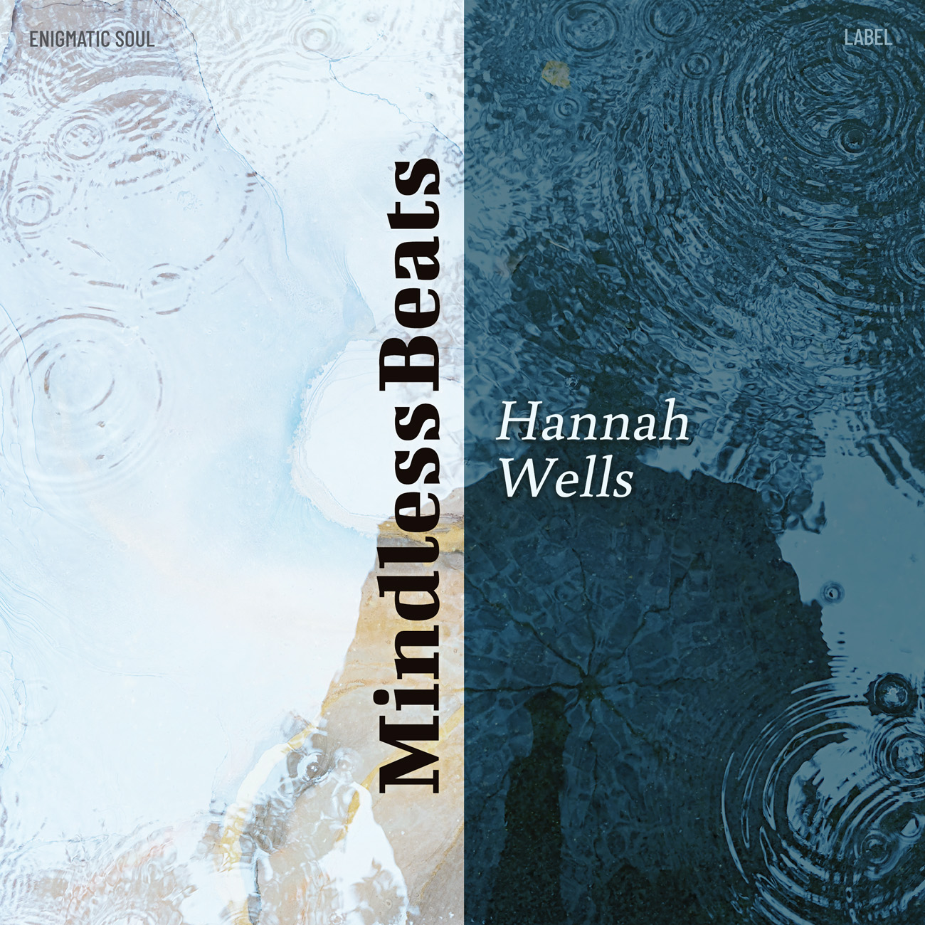 2D view of Premade Contemporary Music Album Cover - Blue Dianne #16531 | AlbumArtZone*