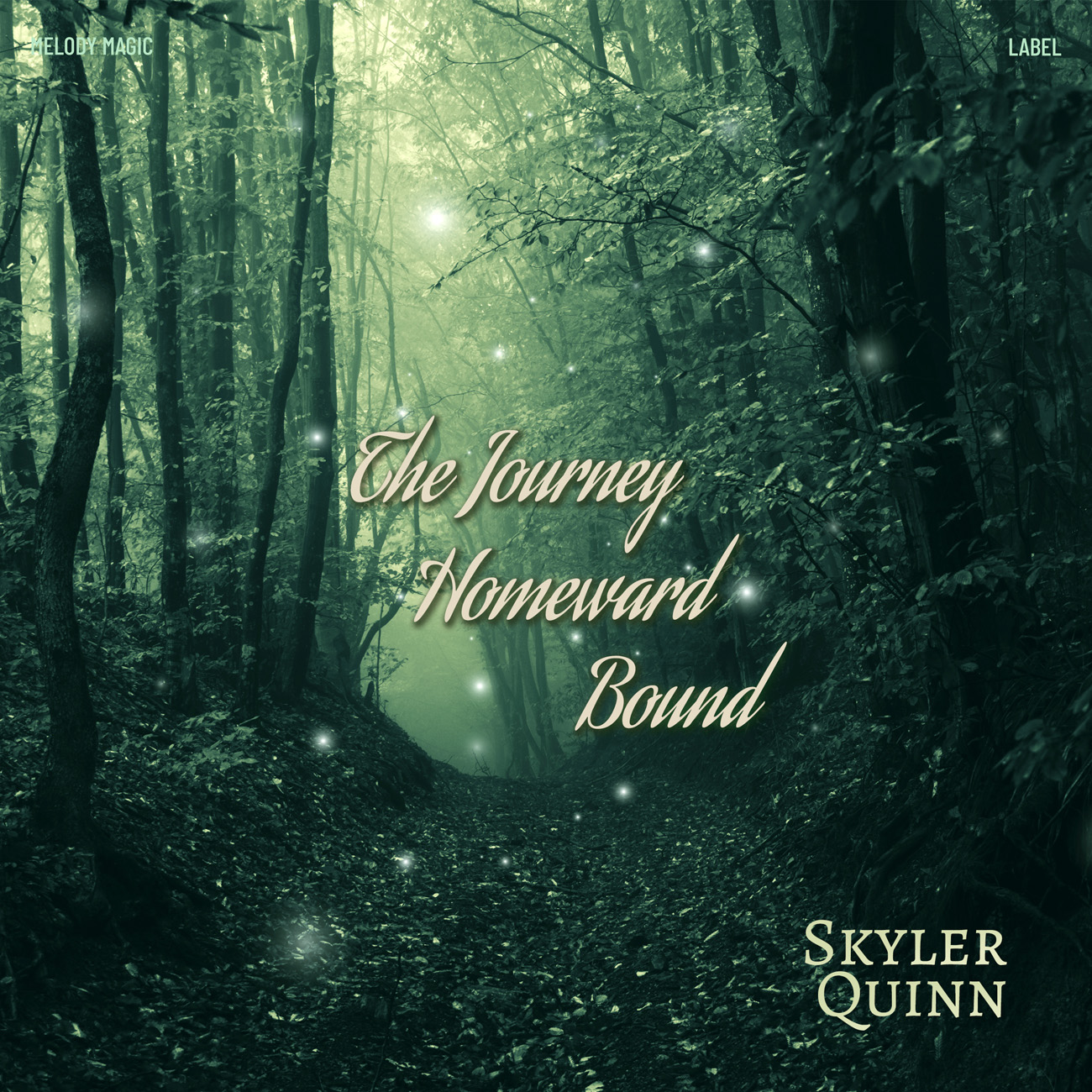 2D view of Premade Electronica & Ambient Album Cover - Timber Green #16737 | AlbumArtZone*