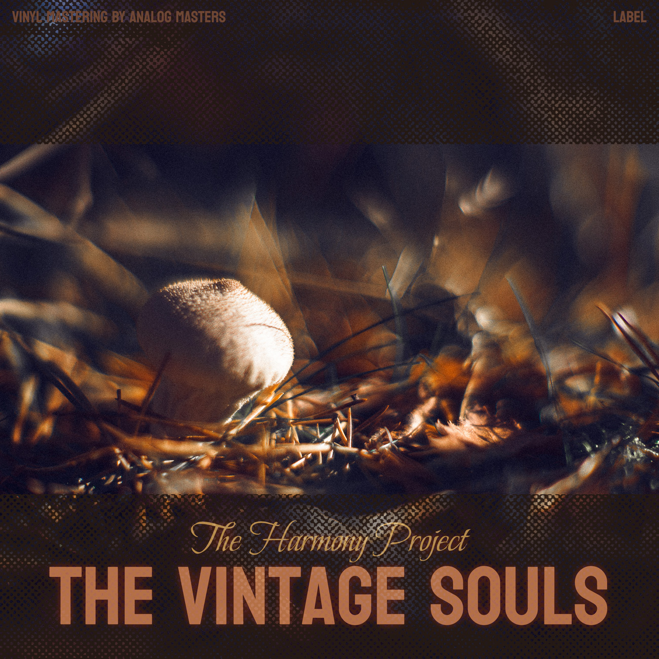 2D view of Premade Electronica & Ambient Album Cover - Thunder #16776 | AlbumArtZone*