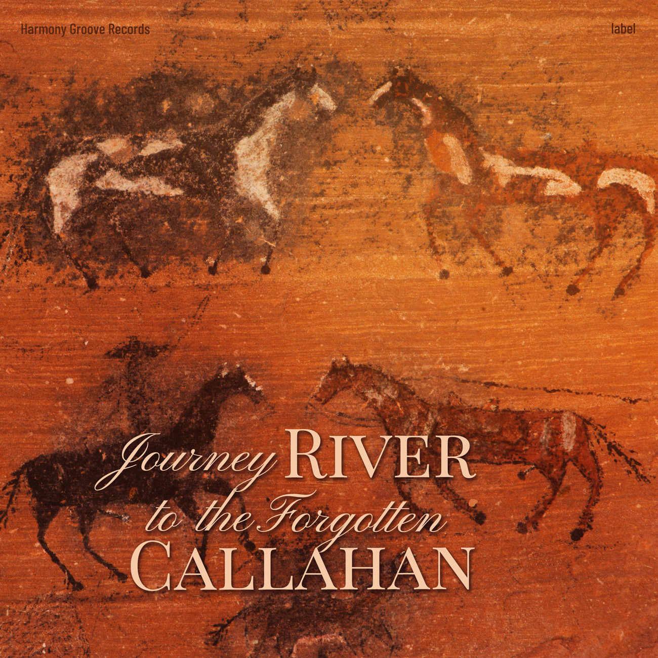 2D view of Premade Country & Acoustic Book Cover - Paarl #16852 | AlbumArtZone*