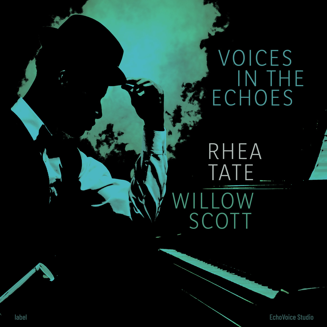 2D view of Premade Traditional Jazz & Blues Album Cover - Tradewind #16924 | AlbumArtZone*