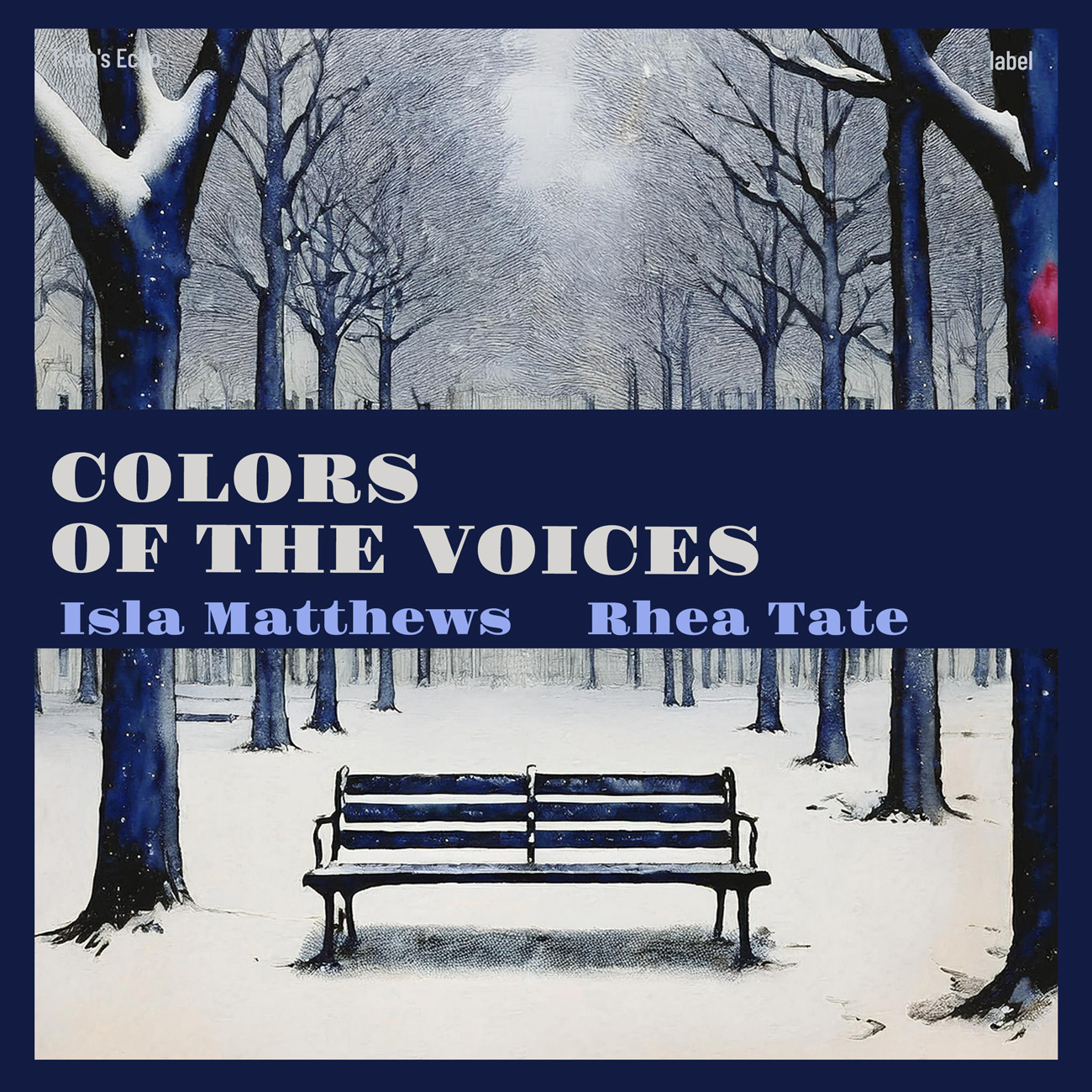2D view of Premade Contemporary Music Album Cover - Quill Gray #16975 | AlbumArtZone*