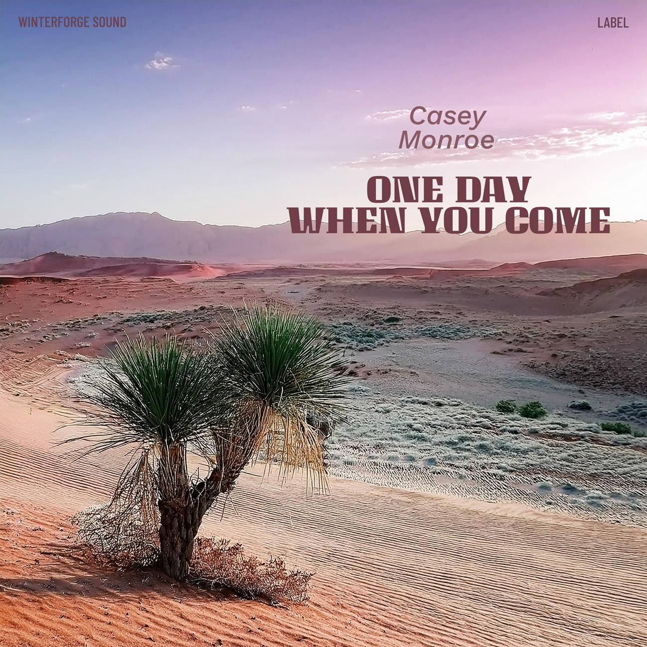 2D view of Premade Indie & Folk Music Album Cover - Dusty Gray #17043 | AlbumArtZone*