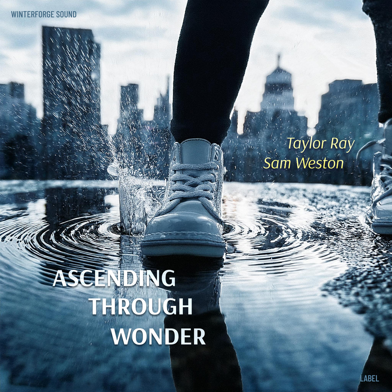 2D view of Premade Pop Album Cover - Geyser #17048 | AlbumArtZone*