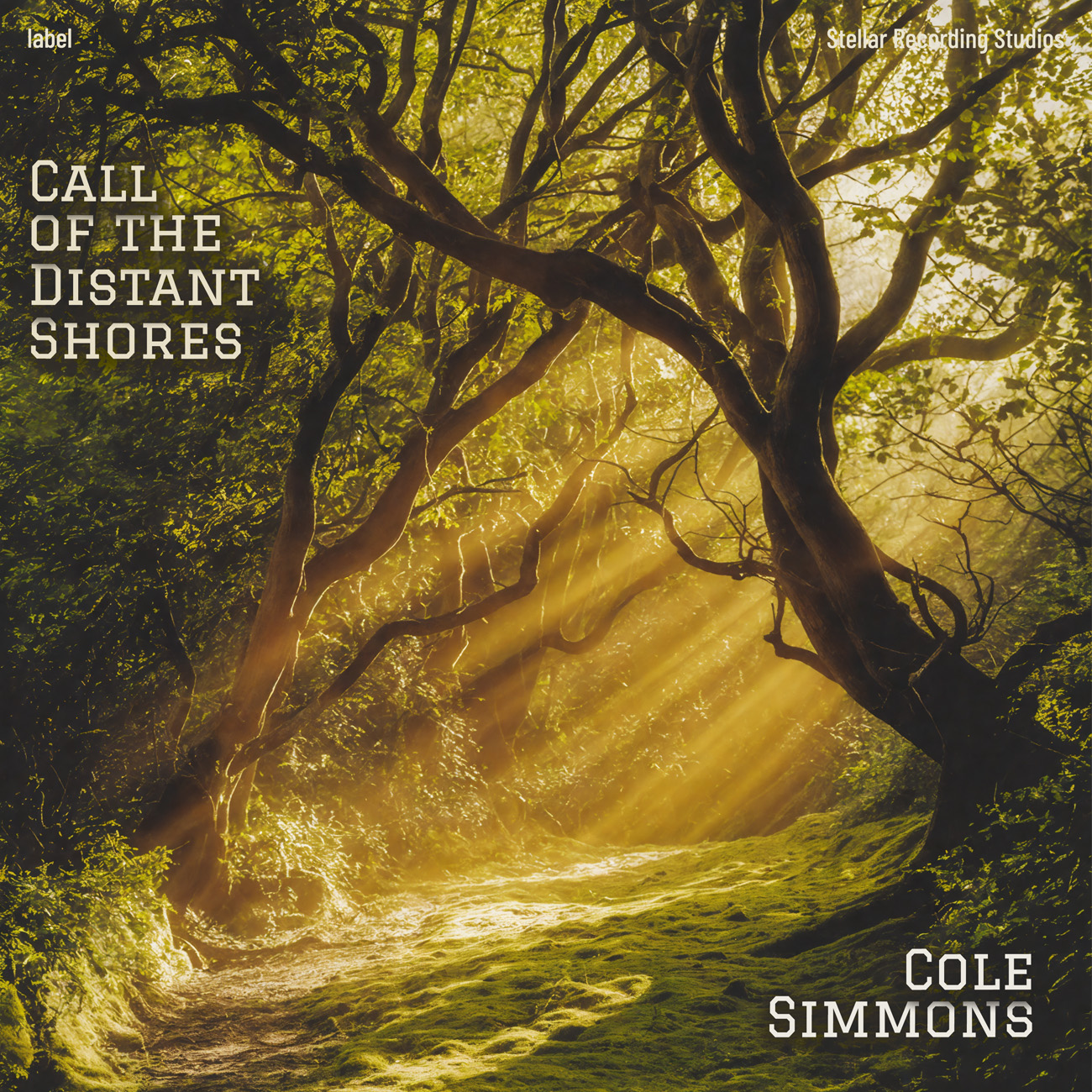 2D view of Premade Indie & Folk Music Album Cover - Lisbon Brown #17443 | AlbumArtZone*