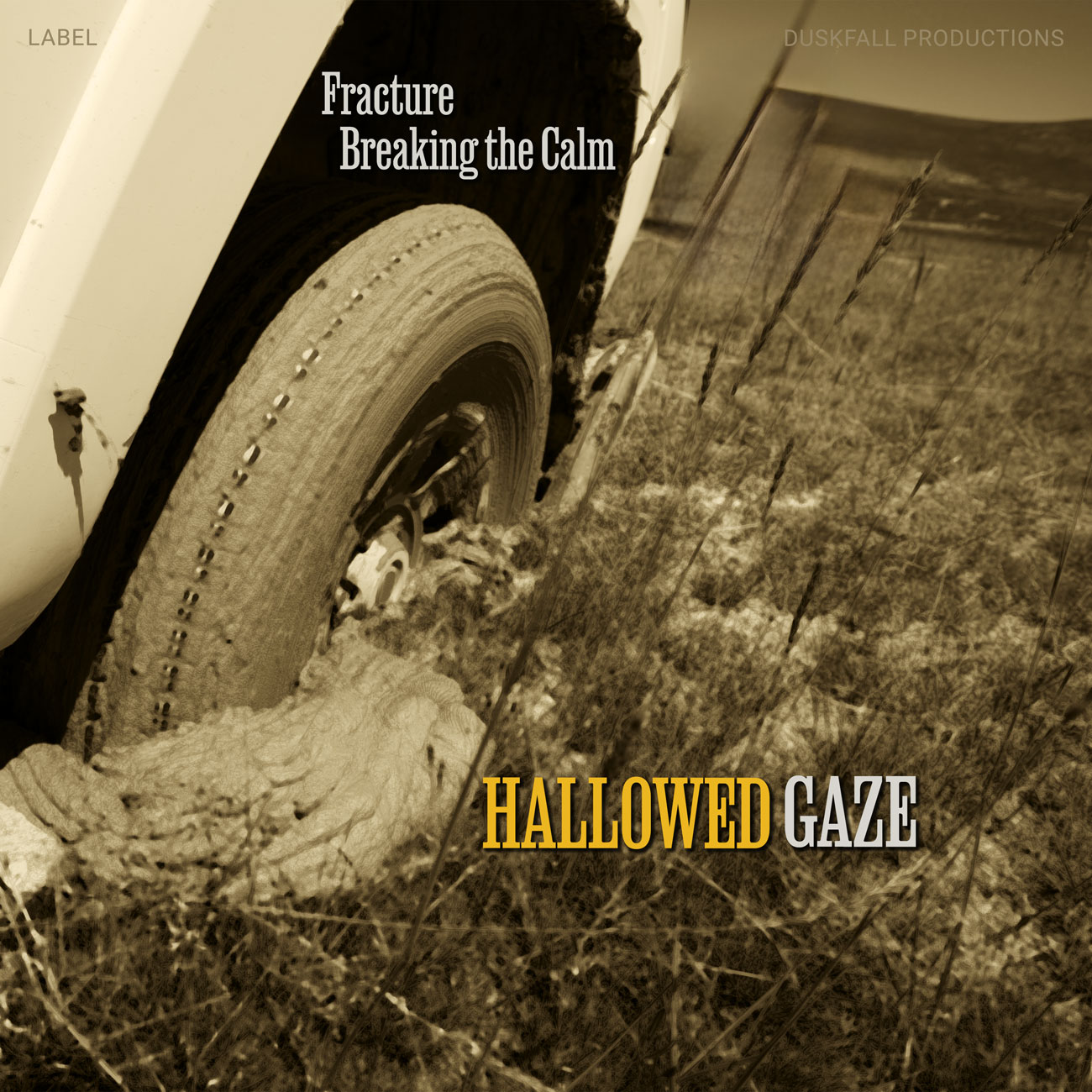2D view of Premade Country & Acoustic Album Cover - Iroko #17727 | AlbumArtZone*