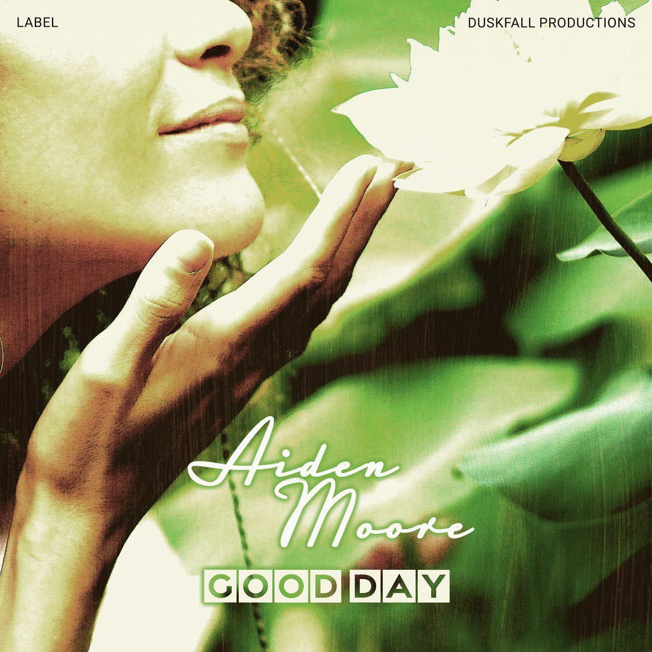 2D view of Premade Pop Album Cover - Thatch Green #17981 | AlbumArtZone*